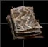 Cloak Dragon Skin