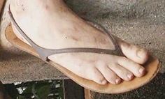 Bild:kateschuhe04.jpg