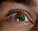 Augen (Nahaufnahme)