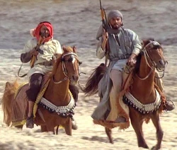 Bedouins' horses