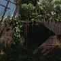 Black_Rock_(schip)