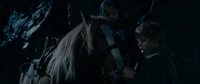 Bill the pony