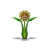 Image:Img_SunflowerS04.jpg