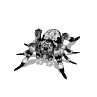 Image:Img_SpiderBoss.jpg