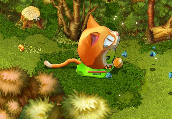 Image:Lime1.jpg