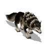 Image:Img_JungleWolf.jpg
