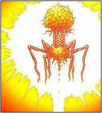 Despotellis (New Earth)