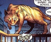 Streaky (New Earth)