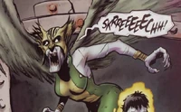 Bizarro Hawkgirl (New Earth)