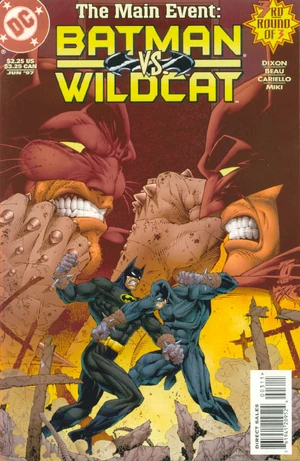 Batman Wildcat 3.jpg