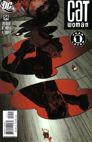 Catwoman Vol 3 54.jpg