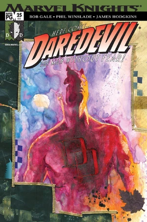 Daredevil_vol2_25.jpg