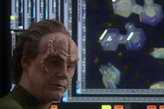 Phlox a počítačový model nevyléčitelné nemoci.
