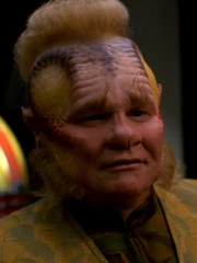 Ethan Phillips als Neelix