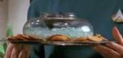 A small bowl of caviar