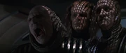 Ru'afo can only scream
