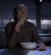 Phlox enjoys a bowl of popcorn on a solitary "movie night"