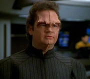 Sklar, a male Nezu