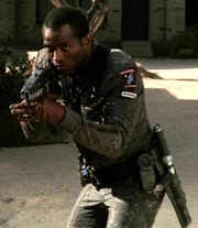 Woods in 2153