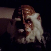 ...as an Antican delegate