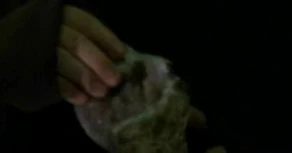 A rubidium geode