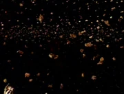 An asteroid field in sector 21527.