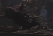 Boshar, a pet targ (2154)
