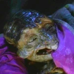A Repto-humanoid hatchling