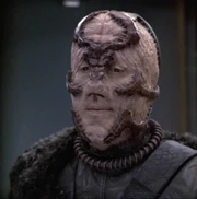 A member of this species in 2376.