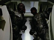 Two members of the Swarm species