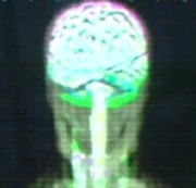 A diagram of an Aenar brain
