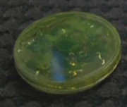 Oprelian amoebae in a petri dish.