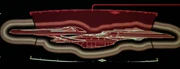 Display graphic, highlighting the dorsal side of the USS Enterprise-E.
