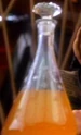 An orange drink.