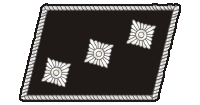 Image:Nazi 2nd lt.png
