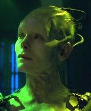 Een Borg koningin in 2378