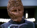 Een Alfa Hirogen (2000).