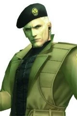 Imagen:GeneFOX.jpg