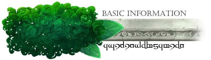 File:Header1.jpg