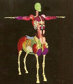 Early Creature Shop modeling stage of a centaur for The Lion, the Witch, and the Wardrobe