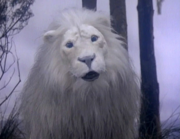 The Lion in The True Bride