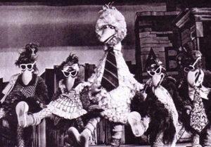 Big Bird joins the Seedy Birds for a chorus line