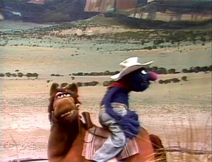 Marshal Grover rides again...in the wrong direction.