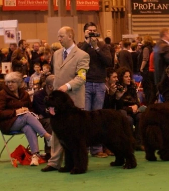 Grafika:GremlinCrufts2008.jpg