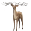 Image:Stag.png