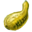 Image:Squash.png