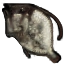 Image:Longhat Trigger.png