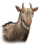 Image:Great Eland.png