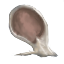 Image:Owlmouse Ears.png