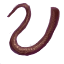 Image:Long Mouse Tails.png